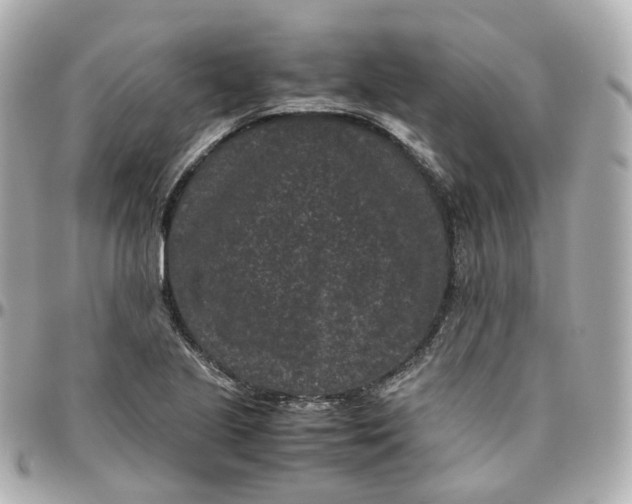 X0000095911221200802011143