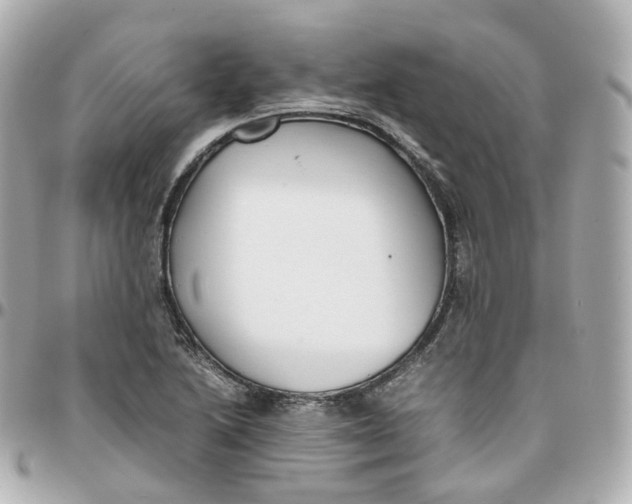 X0000095911222200802011143