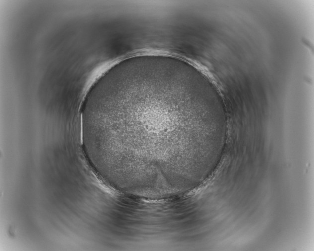 X0000095911223200802011143