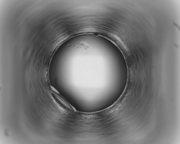 X0000095911225200802011143