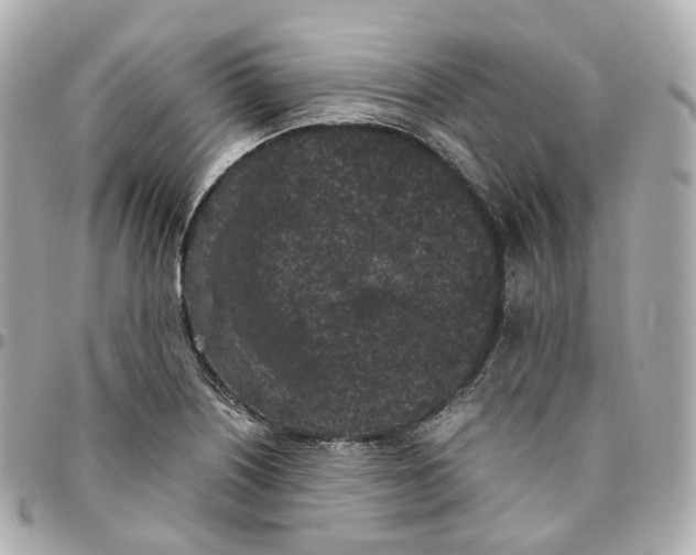 X0000095911226200802011143