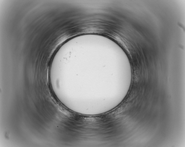 X0000095911227200802011143