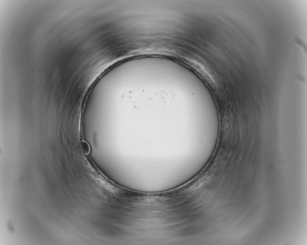 X0000095911228200802011143