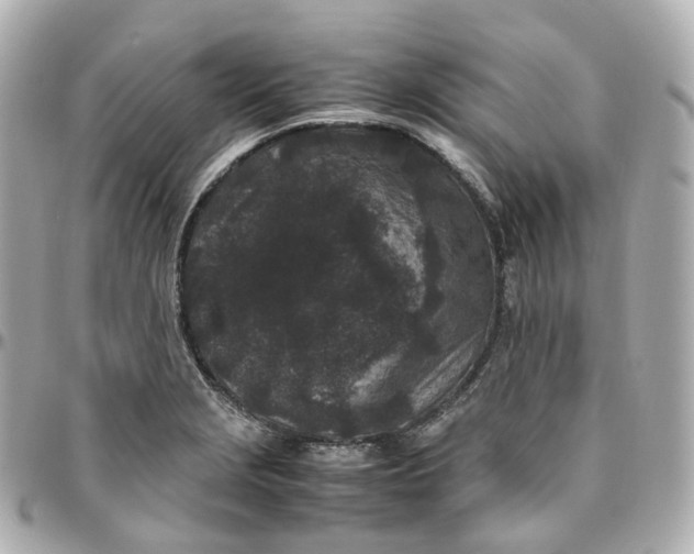 X0000095911229200802011143