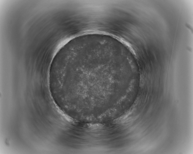 X0000095911231200802011143