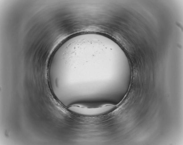 X0000095911232200802011143