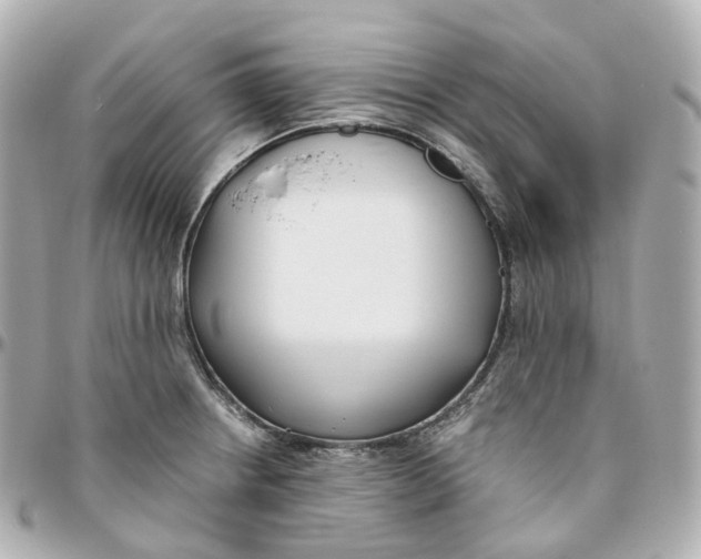 X0000095911234200802011143