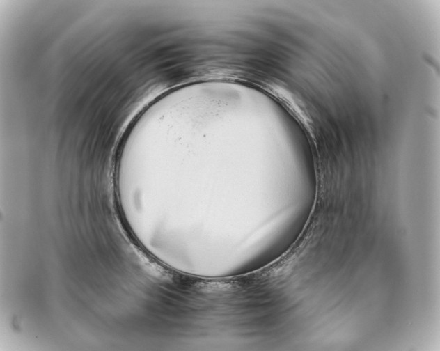 X0000095911235200802011143