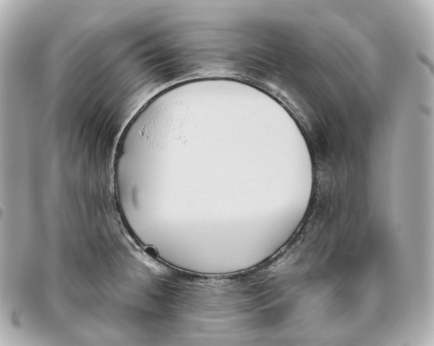 X0000095911236200802011143