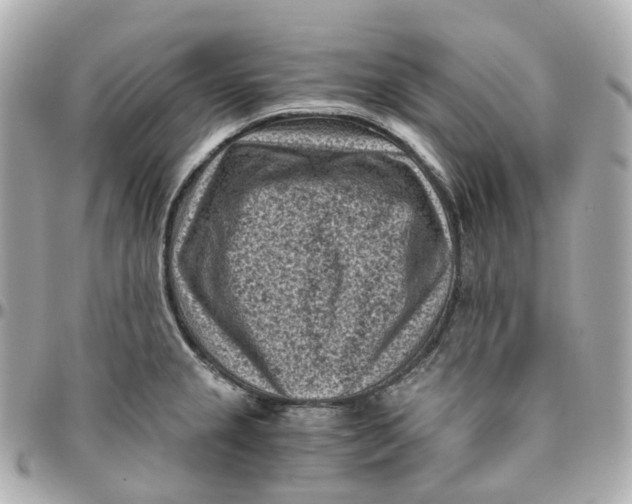 X0000095911237200802011143