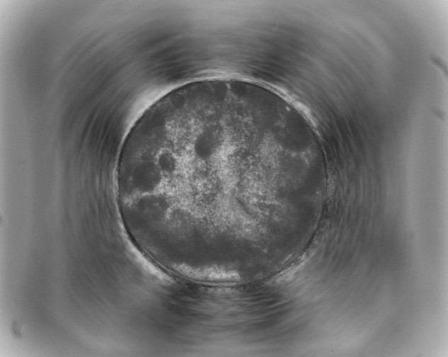 X0000095911239200802011143