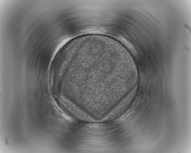 X0000095911240200802011143