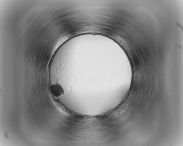 X0000095911242200802011143