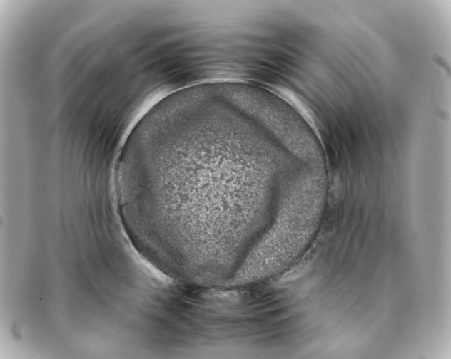 X0000095911243200802011143