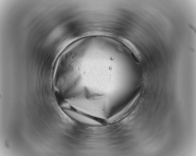 X0000095911244200802011143