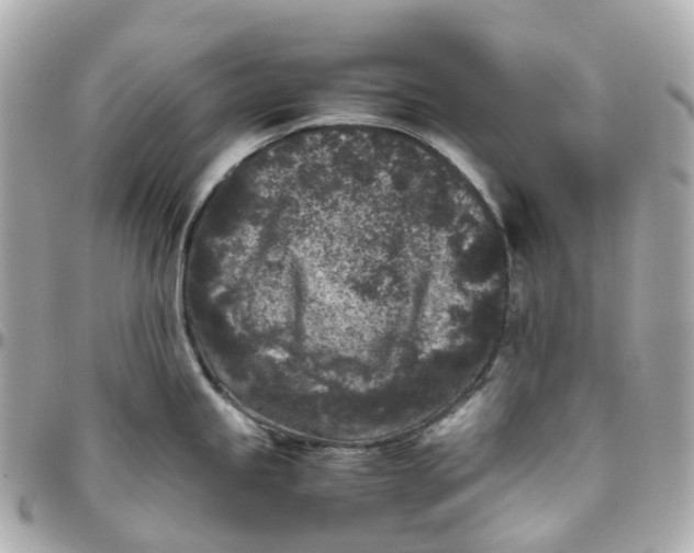 X0000095911245200802011143