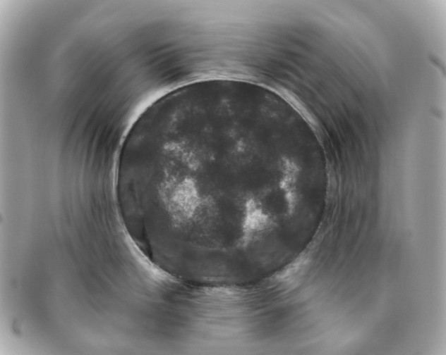 X0000095911246200802011143