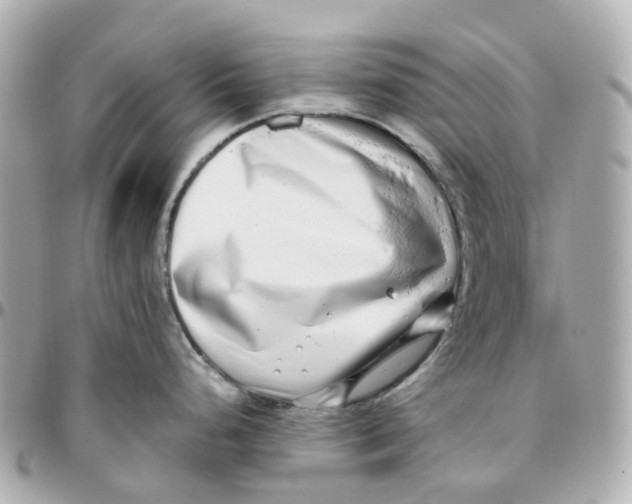 X0000095911248200802011143