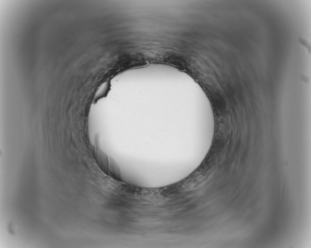 X0000095911249200802011143