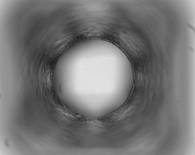 X0000095911250200802011143