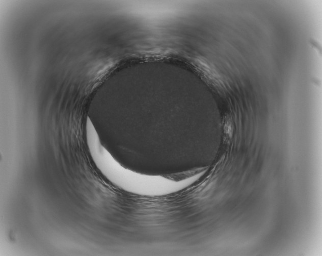 X0000095911252200802011143