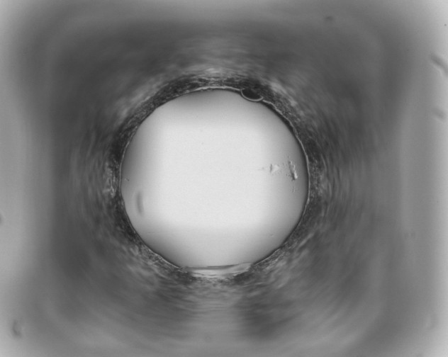 X0000095911253200802011143