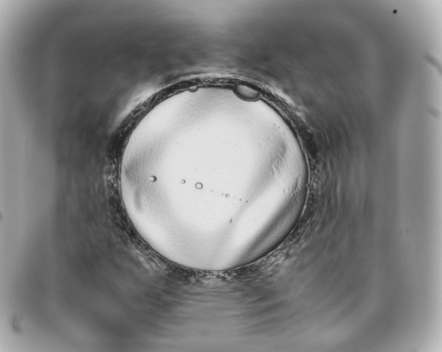 X0000095911255200802011143