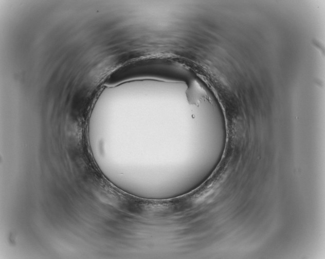 X0000095911257200802011143