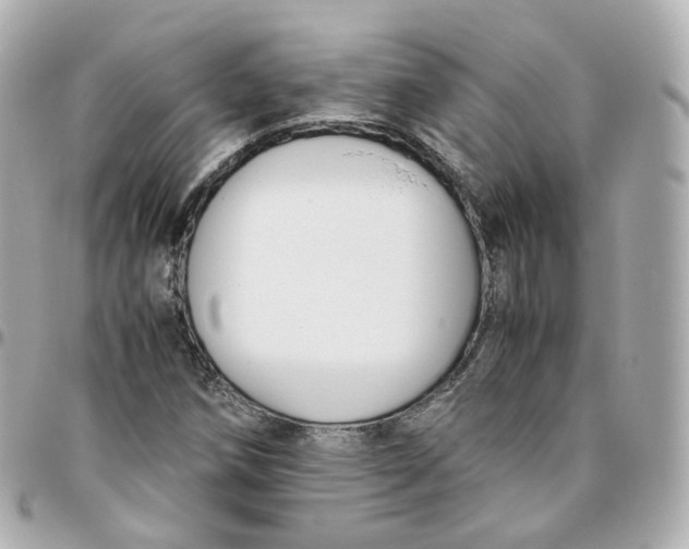 X0000095911258200802011143