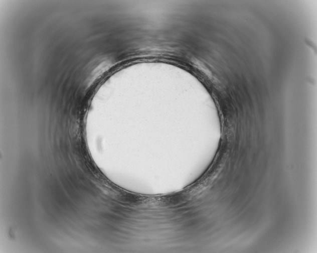 X0000095911259200802011143