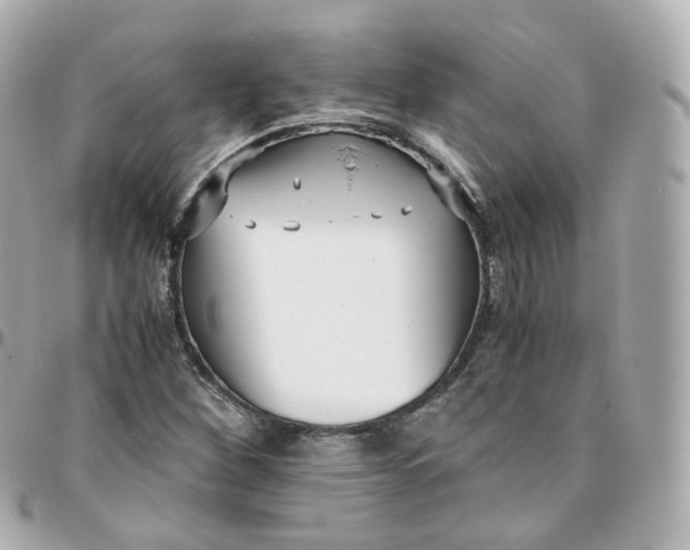 X0000095911260200802011143