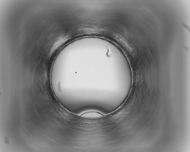 X0000095911261200802011143