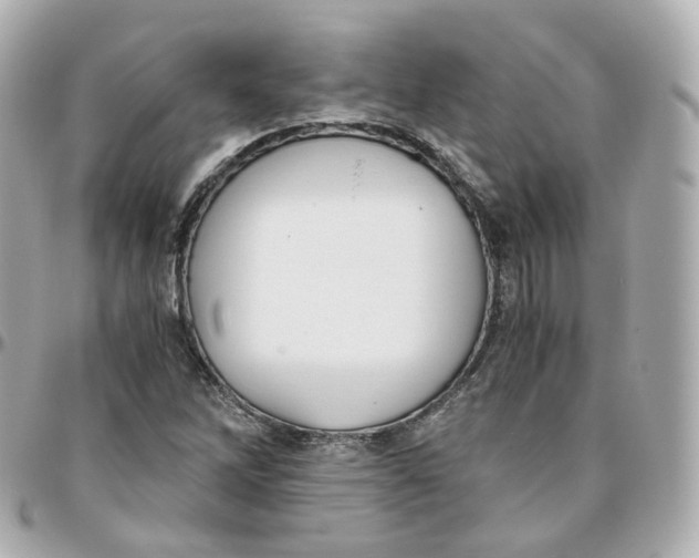 X0000095911262200802011143