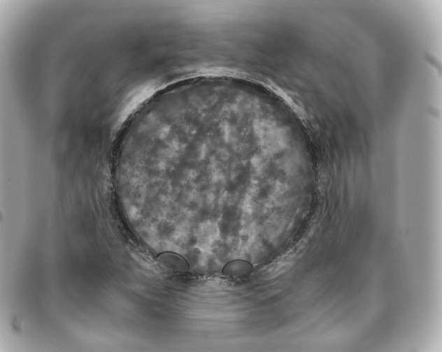 X0000095911263200802011143