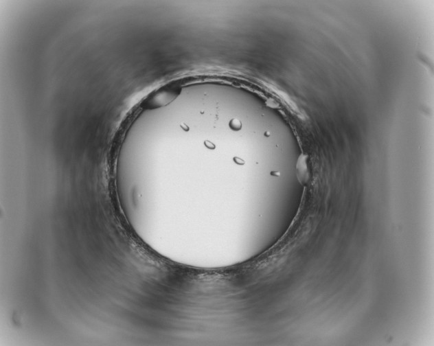 X0000095911264200802011143