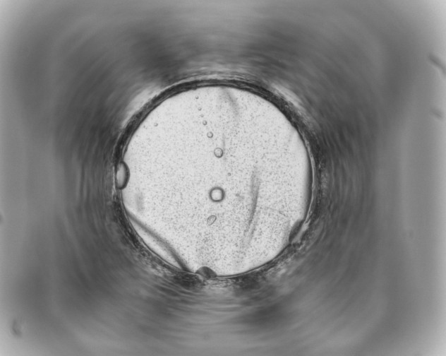 X0000095911267200802011142