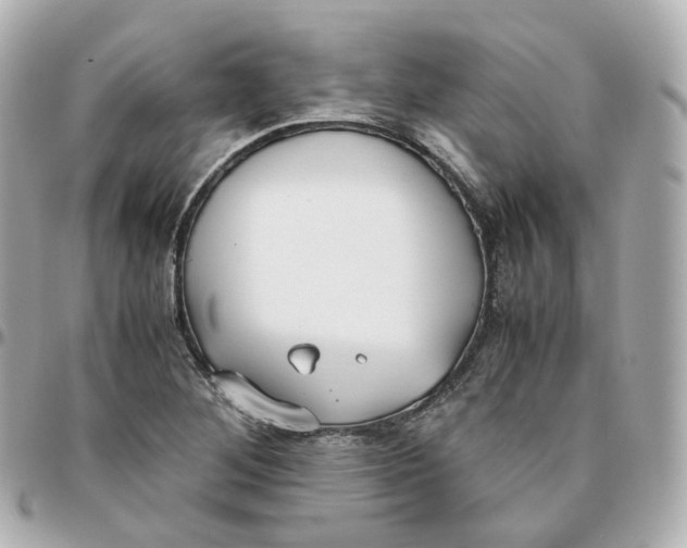 X0000095911268200802011142