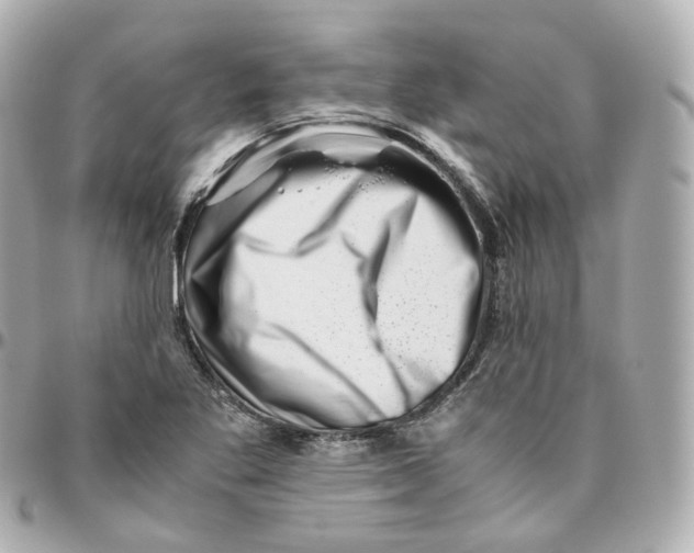 X0000095911269200802011142