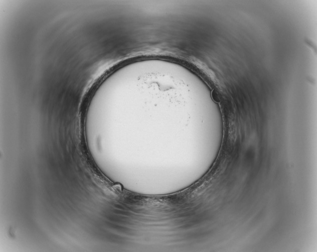 X0000095911270200802011142