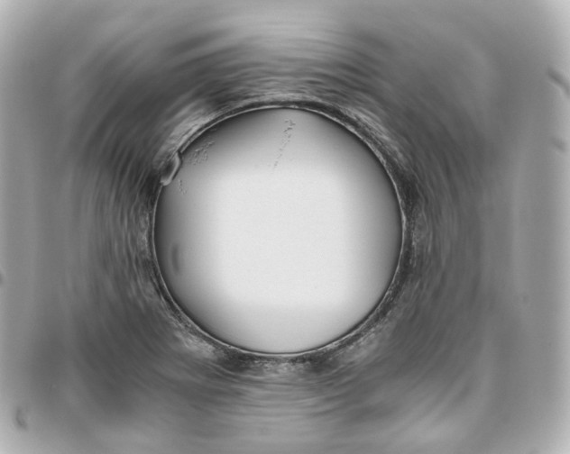 X0000095911273200802011142