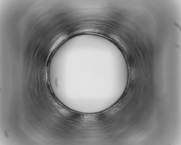 X0000095911274200802011142