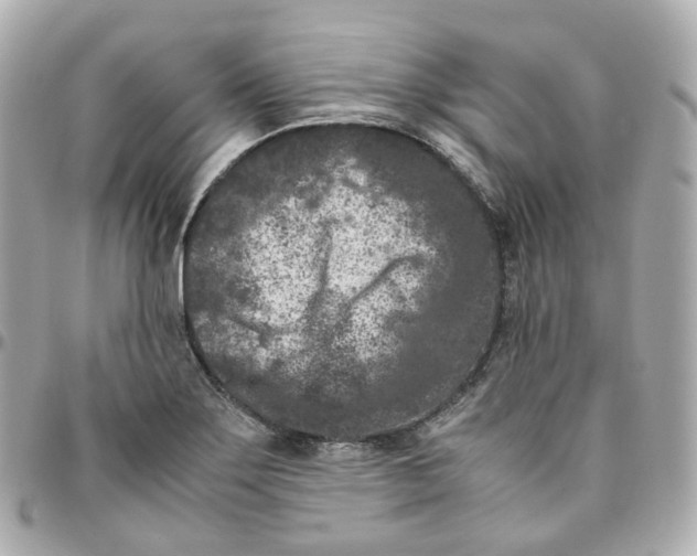 X0000095911275200802011142