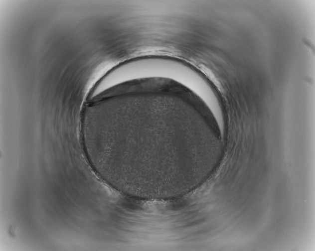 X0000095911277200802011142