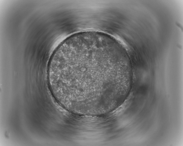 X0000095911279200802011142