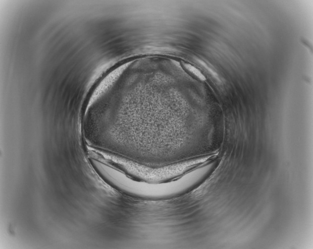 X0000095911280200802011142