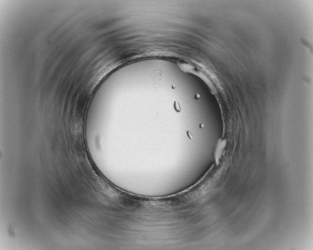 X0000095911281200802011142