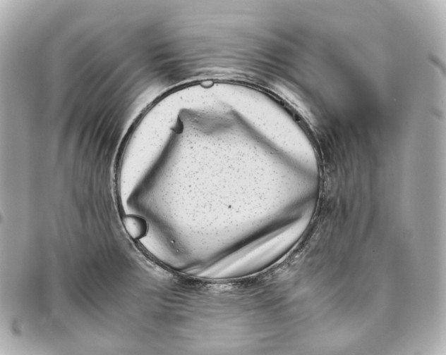 X0000095911283200802011142