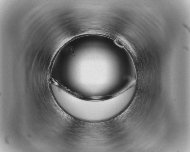 X0000095911284200802011142