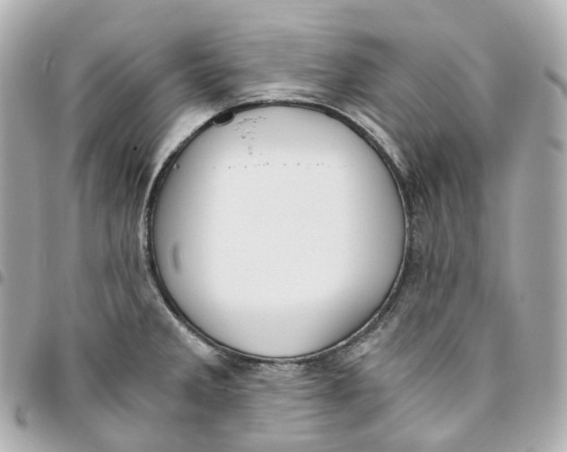 X0000095911285200802011142