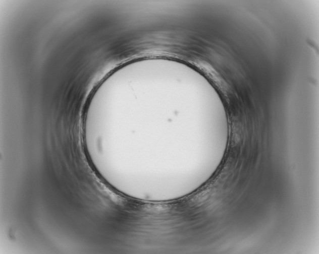 X0000095911286200802011142